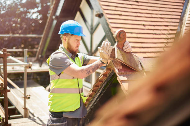 Best Roof Gutter Cleaning  in Fritch, TX